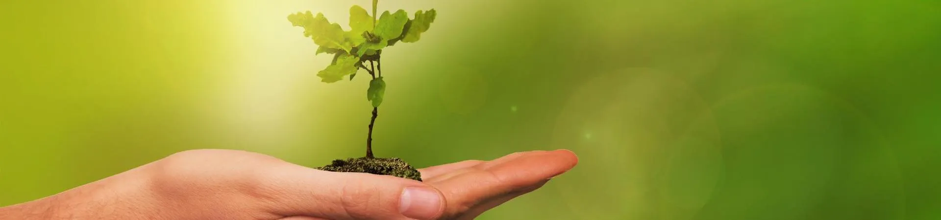 Streven naar een Groene Toekomst